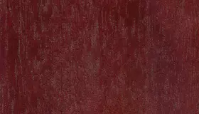 Образец № 26