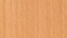 Образец № 21